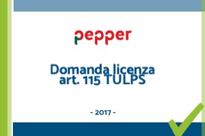 Diapositiva16